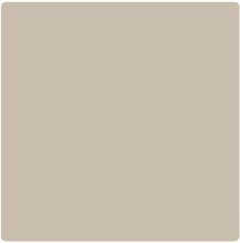 12X12BTS14 - 12-1/4" x 12-1/4" x 1/4" Taupe Blank Square